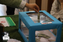 جشن بزرگ گل‌ریزان «روز از نو» (جشن بهاران) دانشکده علوم اجتماعی دانشگاه علامه‌طباطبائی