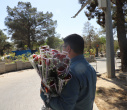 برگزاری مراسم غبارروبی از مزار شهدای دانشگاه علامه طباطبائی در گلزار شهدای بهشت زهرا