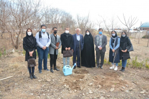 (تصاویر) دومین روز از پویش درختکاری در دانشگاه علامه طباطبائی