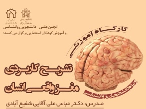 کارگاه آموزشی تشریح کاربردی مغز واقعی انسان