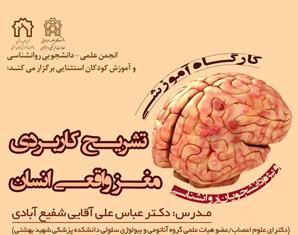 کارگاه آموزشی تشریح کاربردی مغز واقعی انسان  ویژه دانشجویان روانشناسی توسط دکتر عباس علی آقایی شفیع آبادی ( دکترای علوم اعصاب